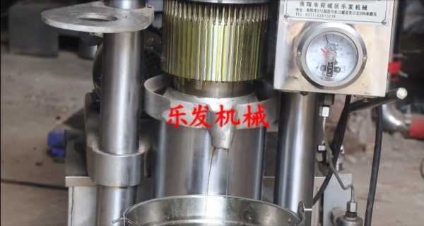 榨牛油果效果-液壓榨油機榨牛油果視頻