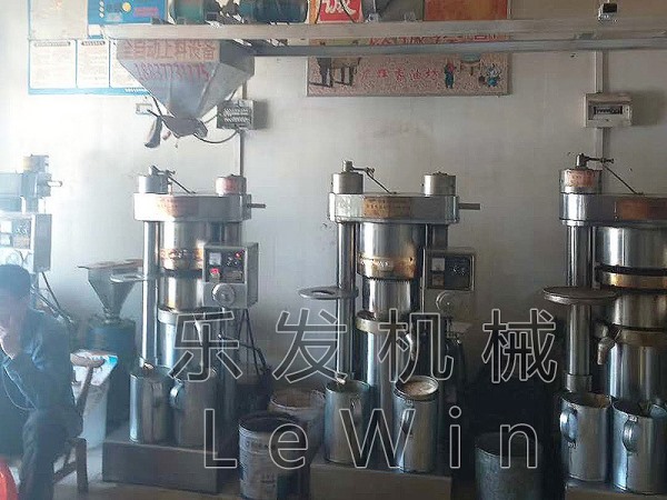 芝麻香油機(jī)客戶